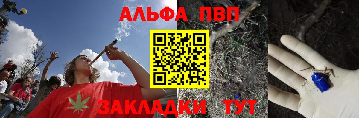 APVP СК Владикавказ