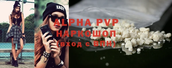 a pvp Пересвет
