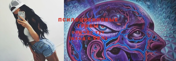 a pvp Пересвет