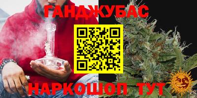 apvp Бердск