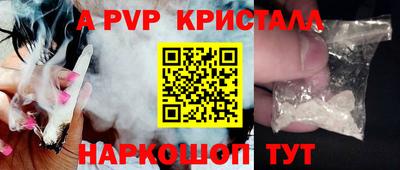 apvp Бердск