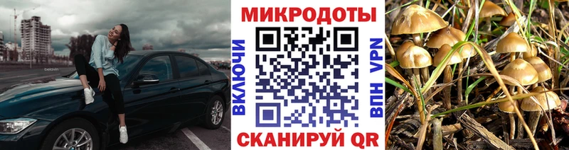 МЕГА   купить закладку  Владикавказ  Галлюциногенные грибы Magic Shrooms 