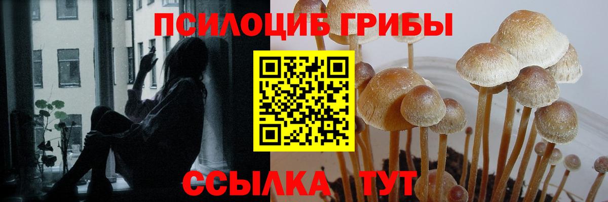 Псилоцибиновые грибы Magic Shrooms Владикавказ